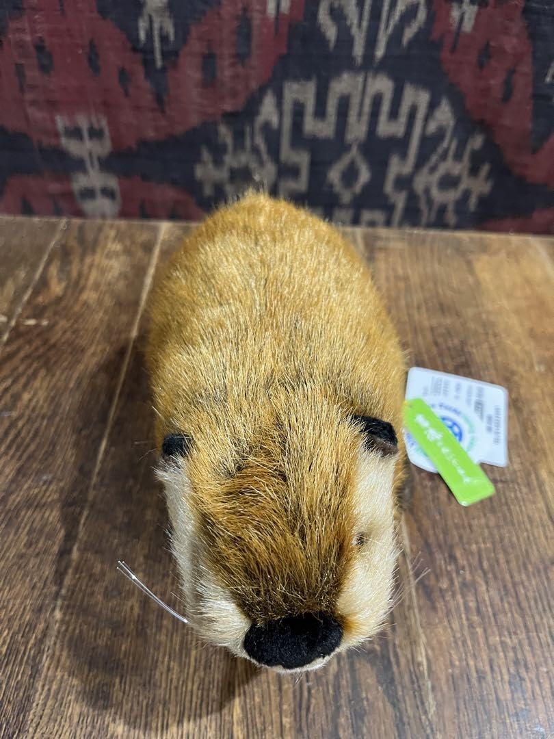 Amazon.co.jp: SUPER BEAVER スーパービーバー 吉徳 通販 ぬいぐるみ